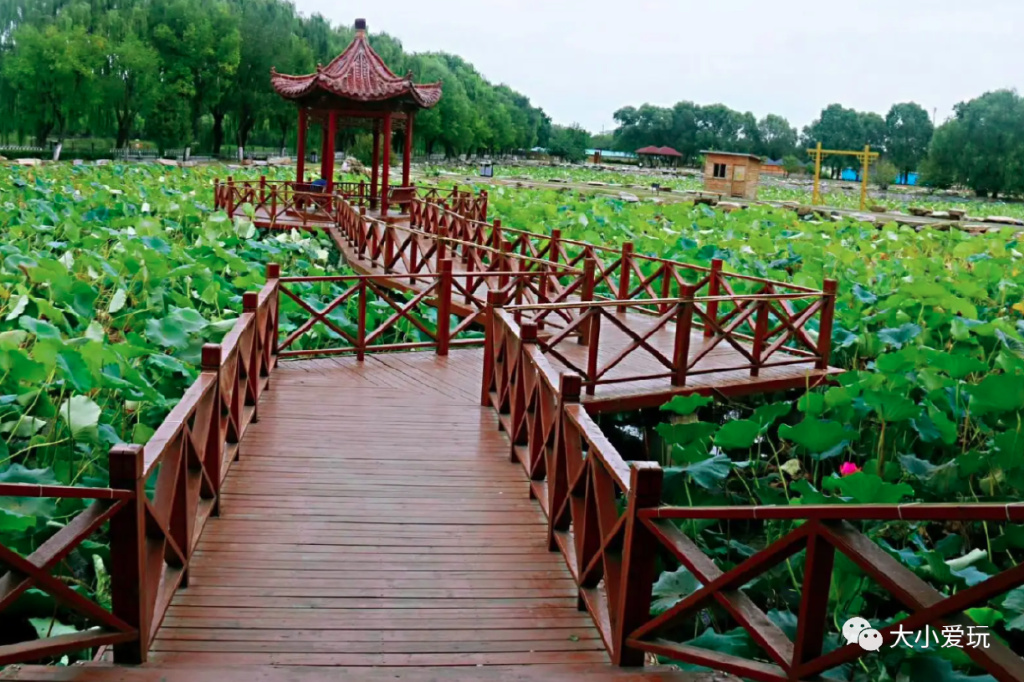 有很多很美的湖泊,这些绝美湖泊你去过几个