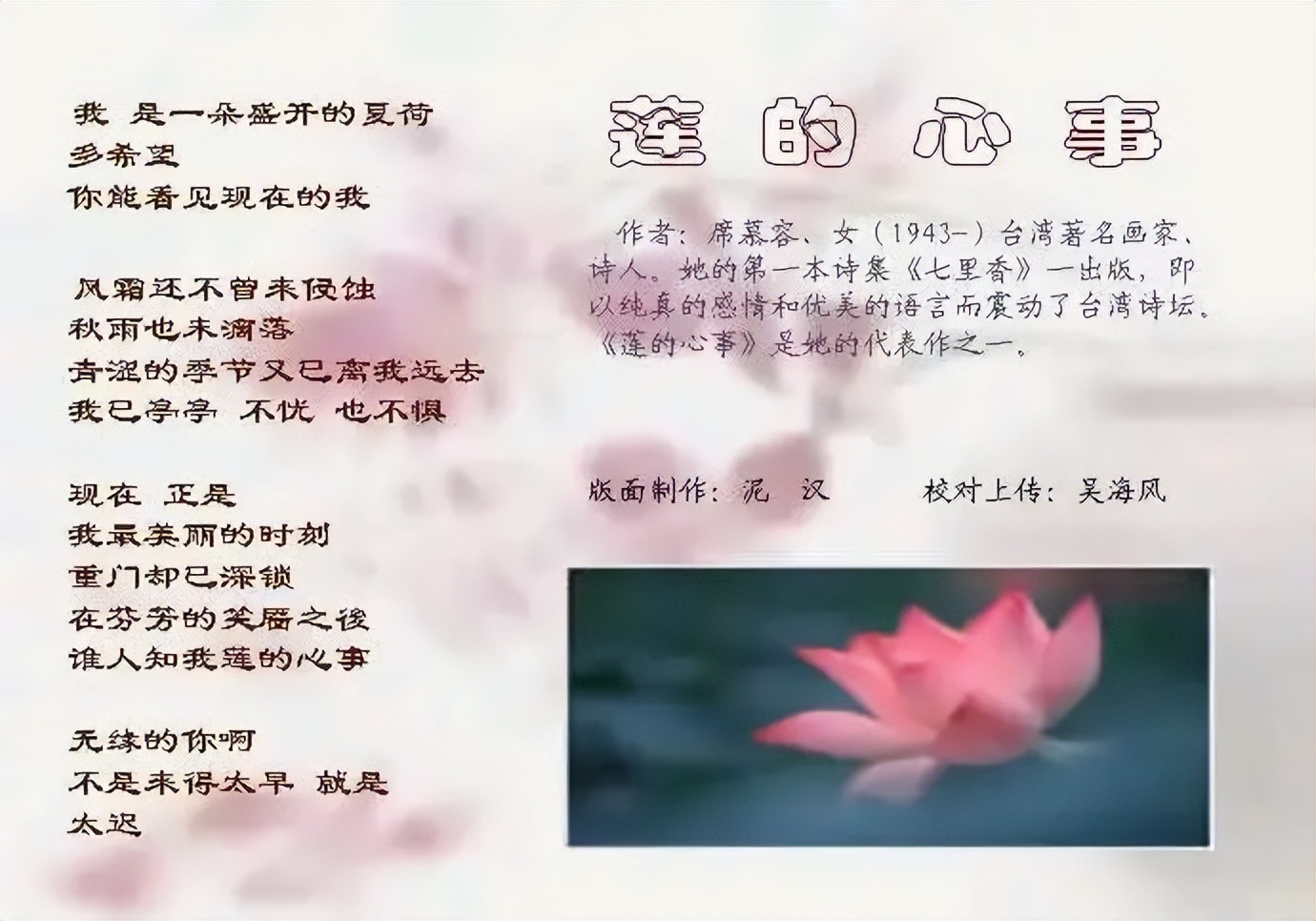 老李谈茶台湾视频,老李侃茶