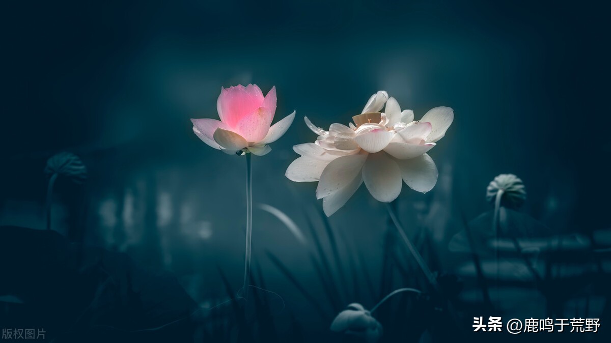 计算机基础知识必背题单招海南,高职单招考试计算机基础试题