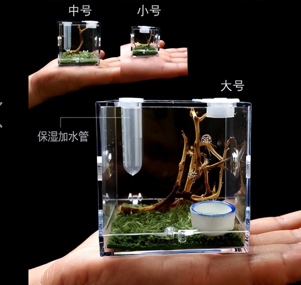 猫狗不停，除了猫狗，这些小可爱，你家的娃都养过了吗？