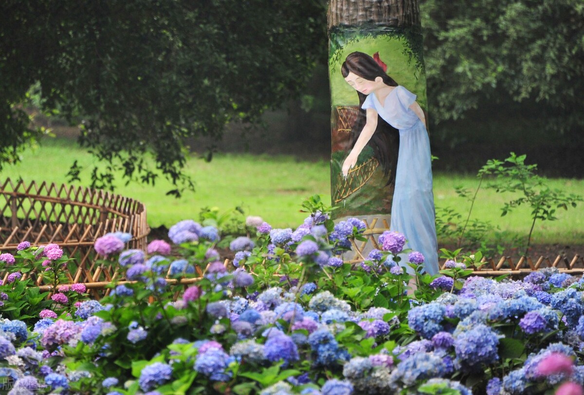 大自然的怀抱最美妙,大自然的怀抱的视频