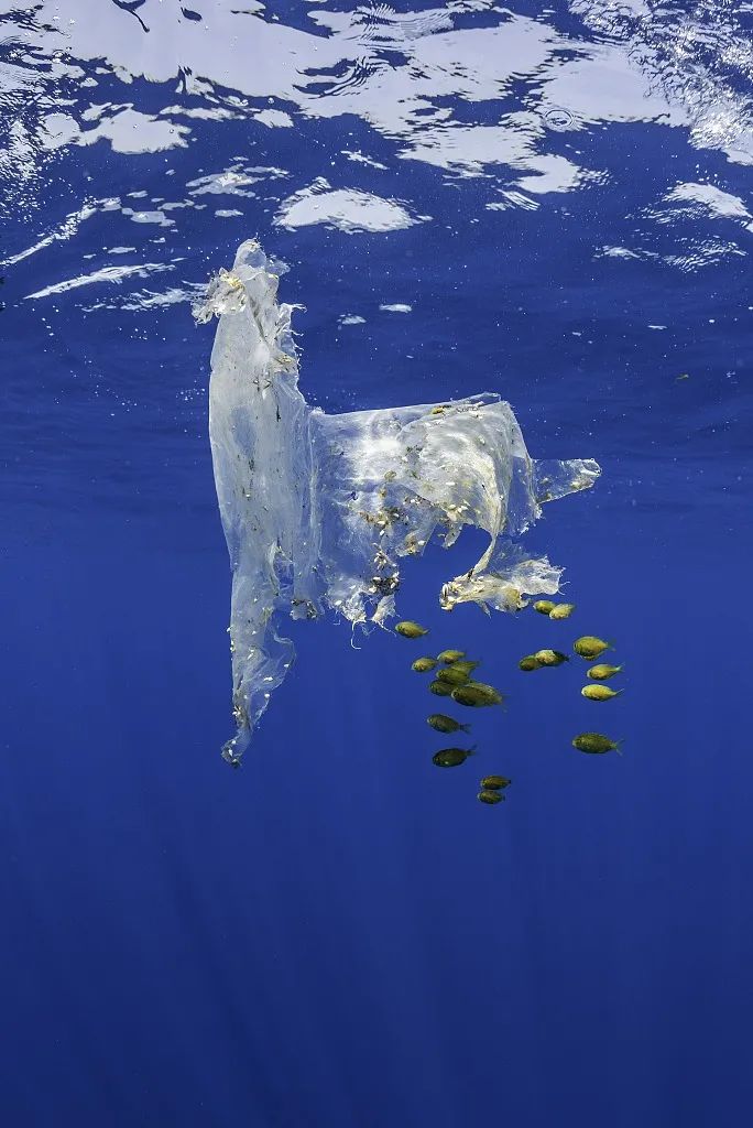 这个“垃圾大国”，真是让我开眼了