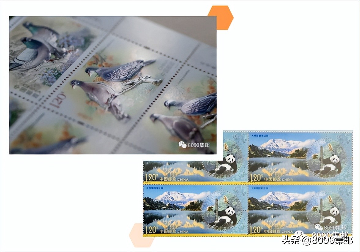 《国家公园》与《鸽》“双首日”遭遇“双打折”