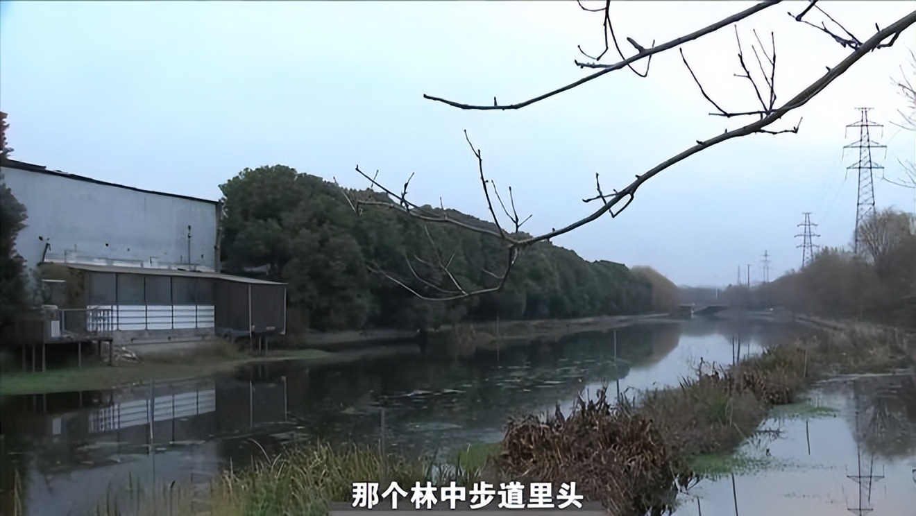 女子凭空消失算命先生一句话破案,浙江女子离奇消失十四年