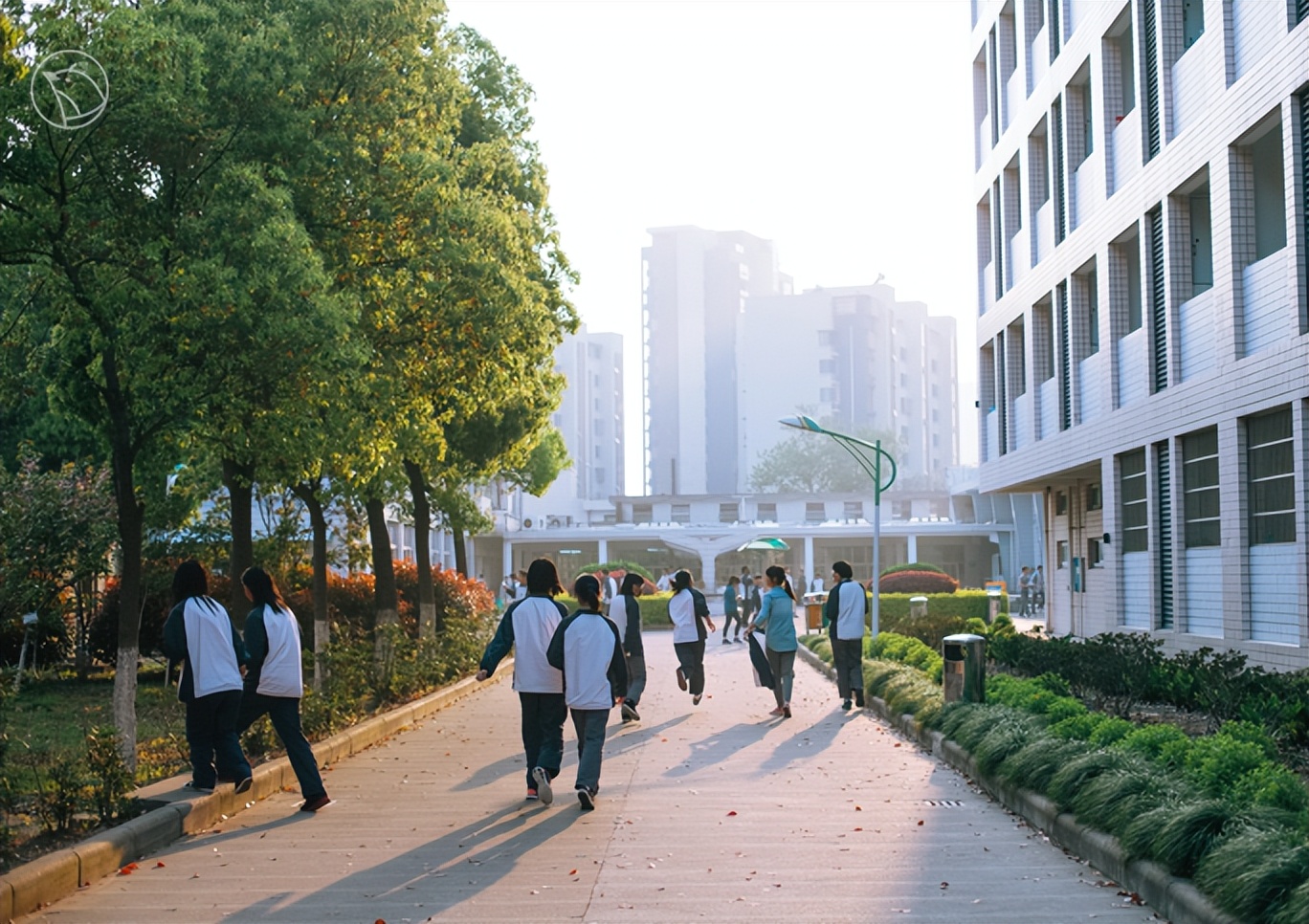 这个校园“*拍偷**狂魔”,拍下了95后的绝版青春