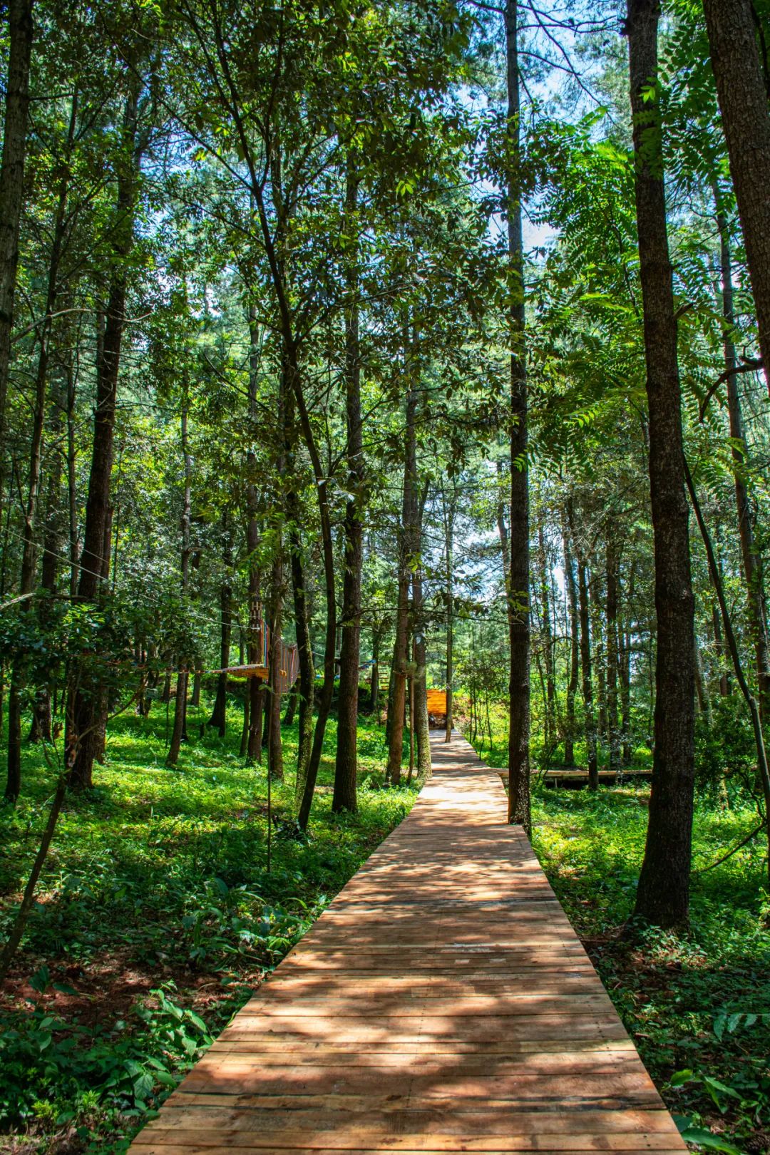 昆明旅游攻略一日游景点推荐理由,昆明玩耍推荐景点一日游攻略图