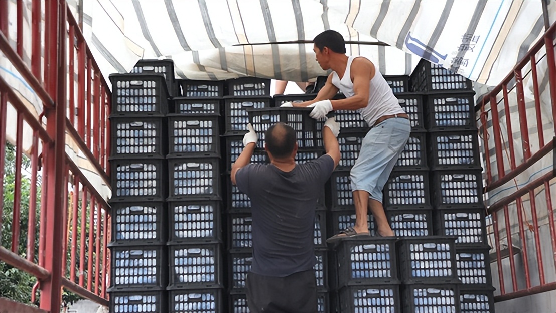 水果中的爱马仕多少钱,高端水果中的爱马仕