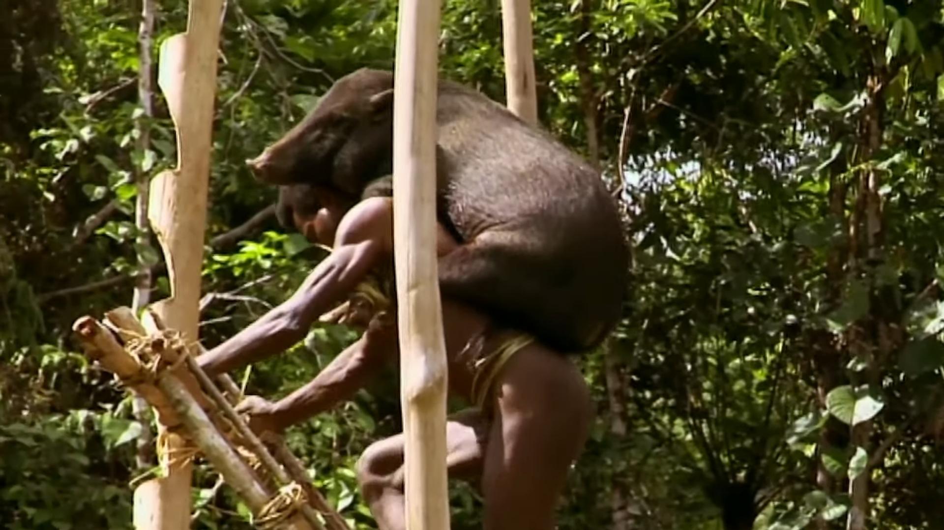 现存的食人族原始部落,世界上最后一个食人族部落