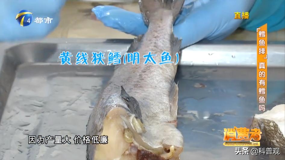 油鳕鱼吃了对人体有害吗,油鱼为什么吃了会漏油