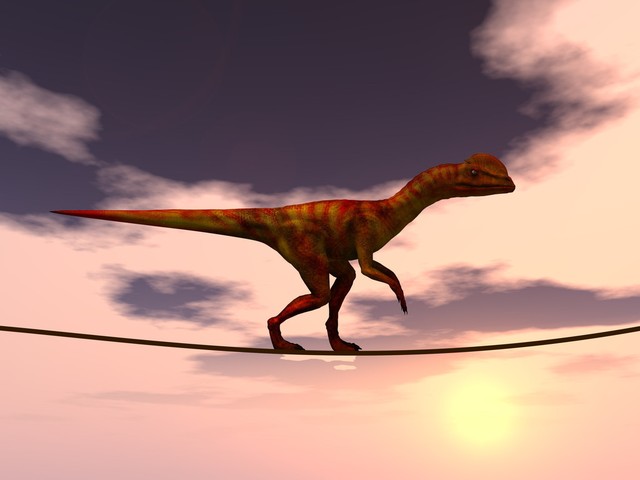 左右为难的最佳解决方法,左右为难该如何是好