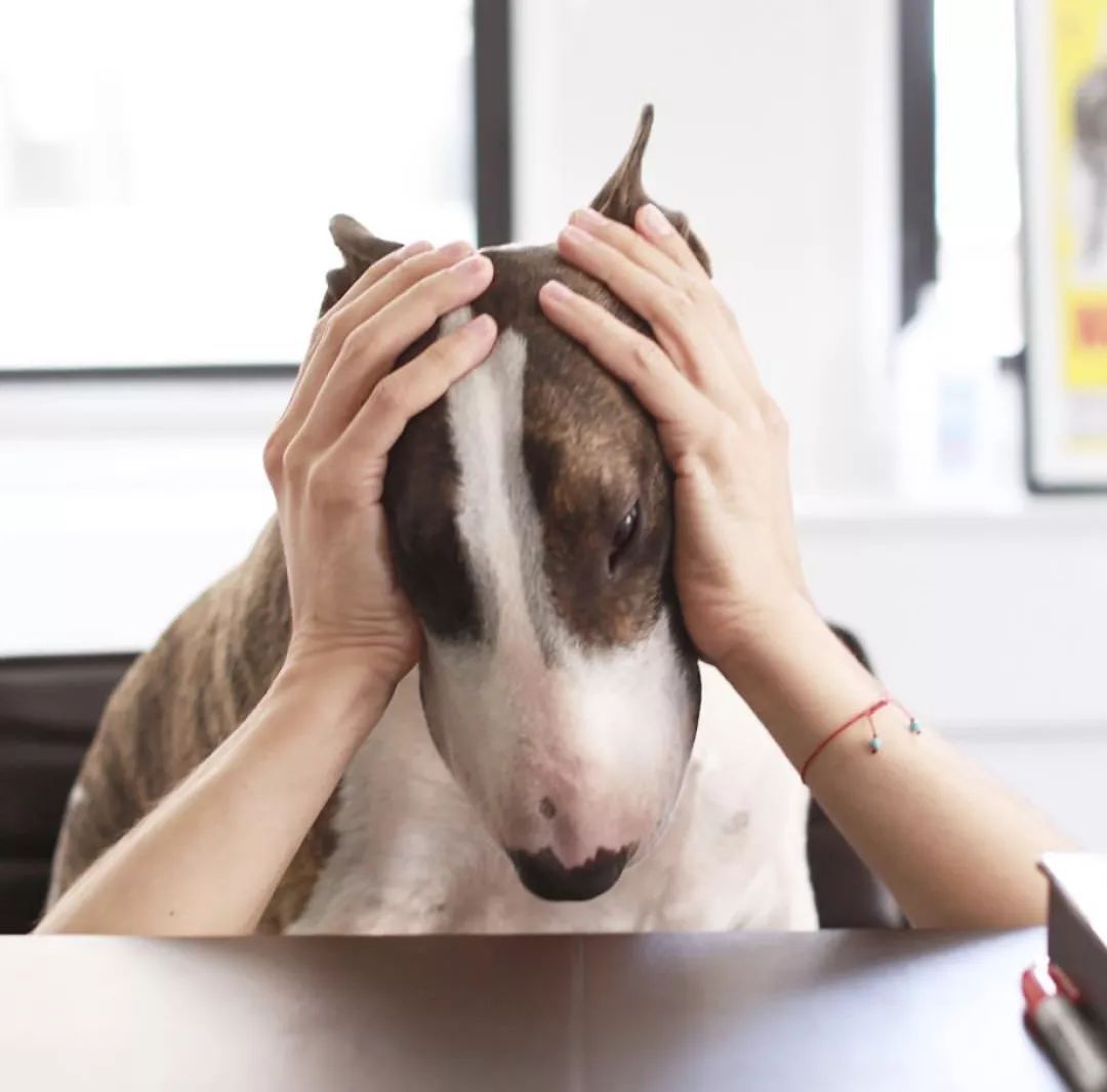 怎么自己选择合适的台式电脑,入门级台式电脑怎么选