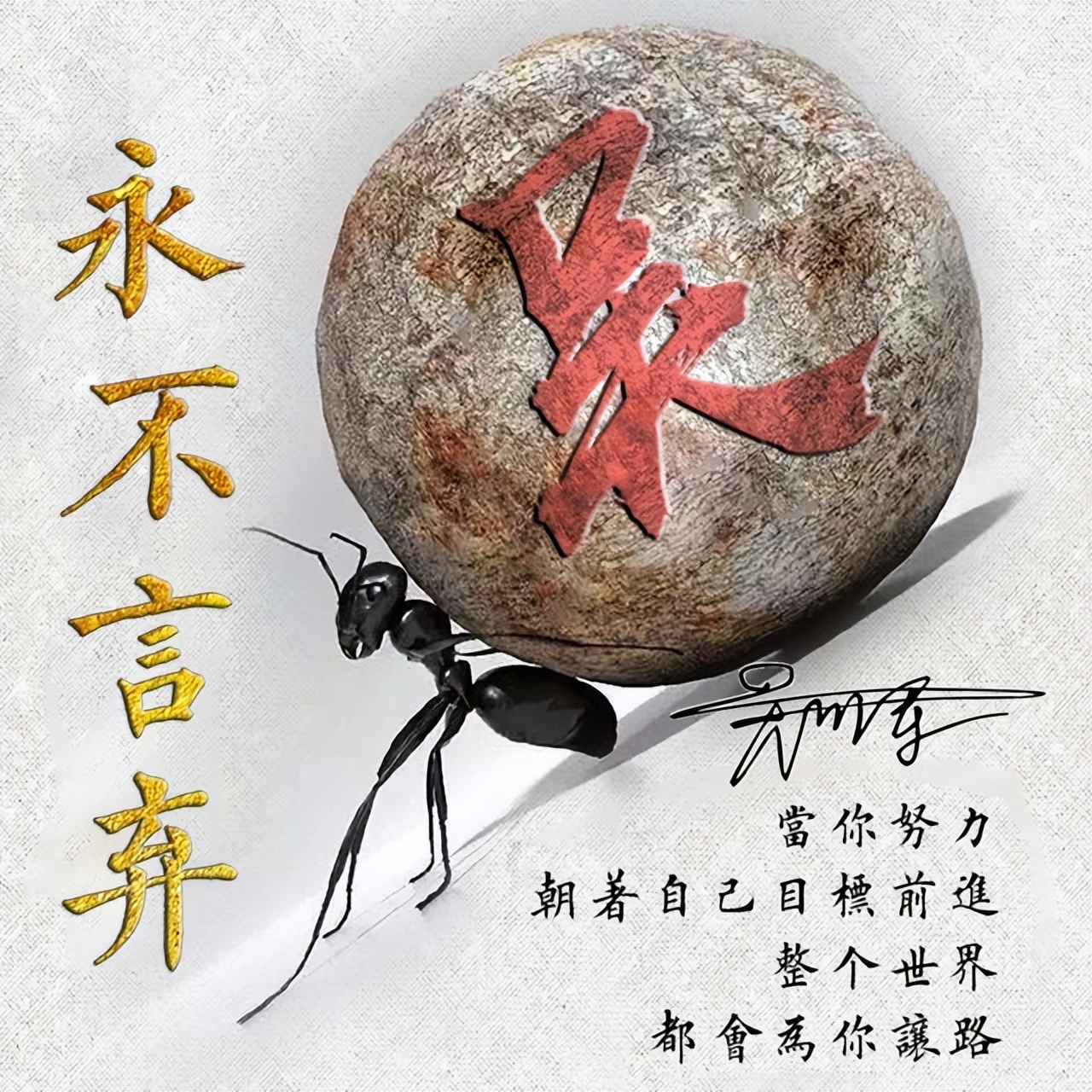 姓氏微信头像2022最火头像杨,你的专属姓氏微信头像