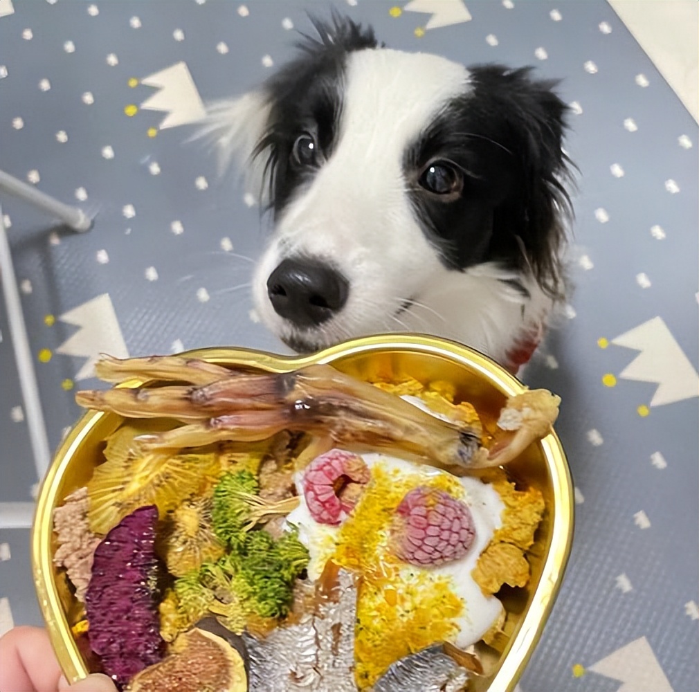 狗狗有泪痕应该怎么去除,狗狗有泪痕应该怎么处理