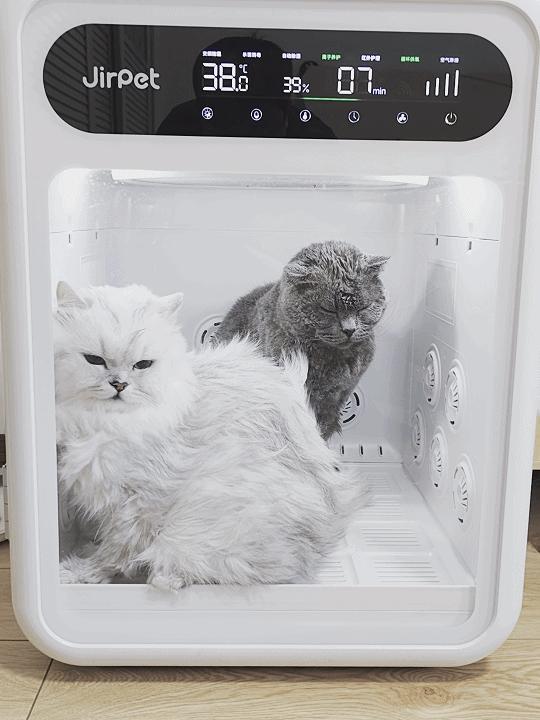 铲屎官福音:烘干箱不止高效快干大空间,JirpetF1首发体验有惊喜