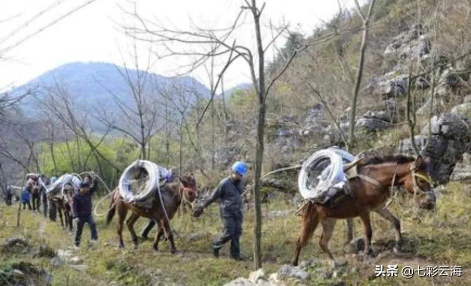 攀登武当山的马邦