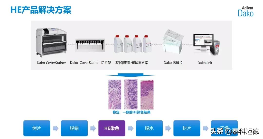 dako病理产品线,dako病理