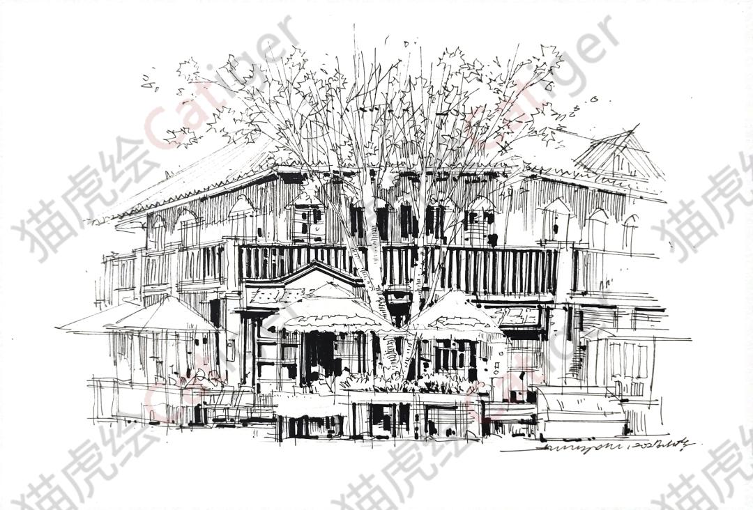 猫虎画,猫虎绘画