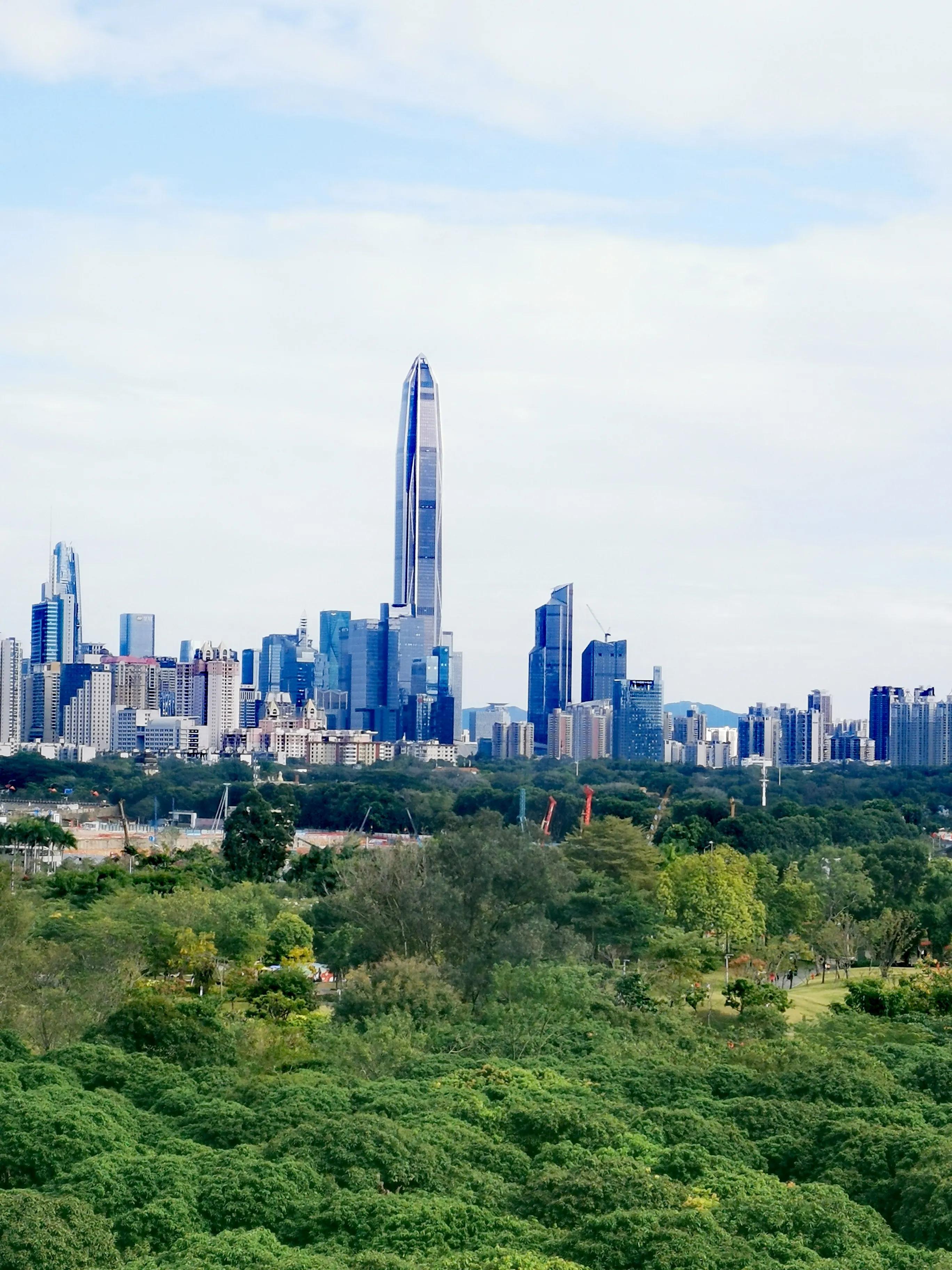 这才是深圳最值得打卡的十大景区,深圳莲花山公园赏花打卡地推荐