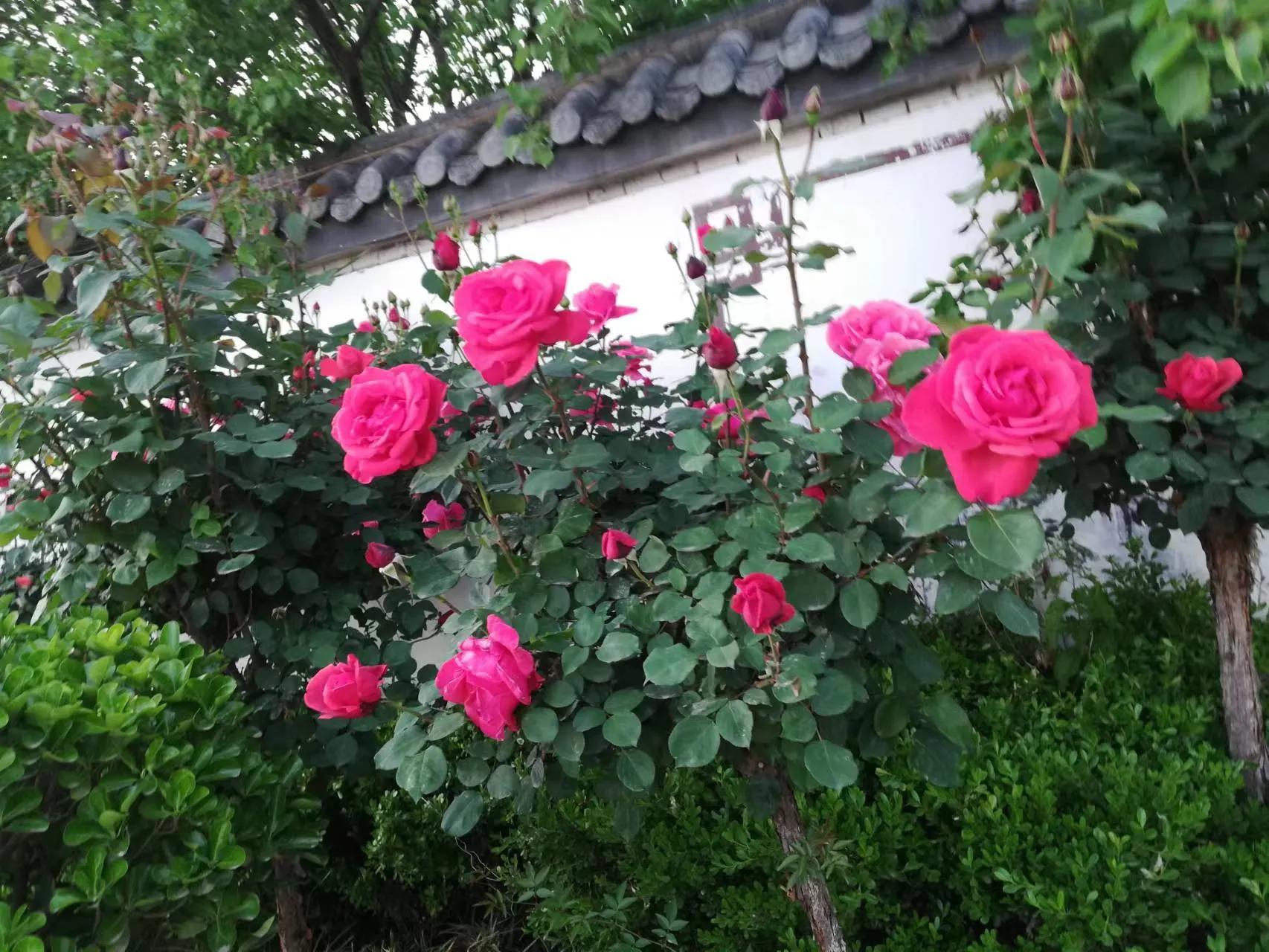 头等舱空姐月薪,空姐月入1万机长说年入百万