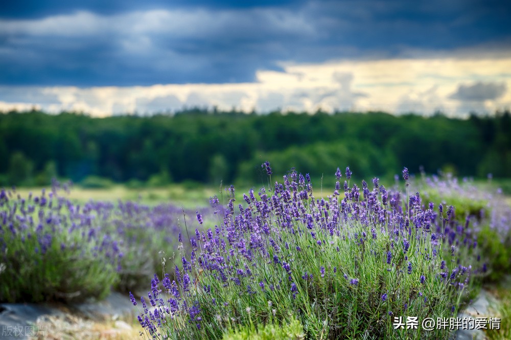 一个人最大的破产是失望,为什么说最大的破产是绝望
