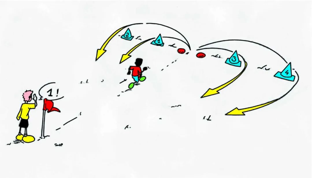 小学体育一级方程式,小学生体育项目一级方程式训练