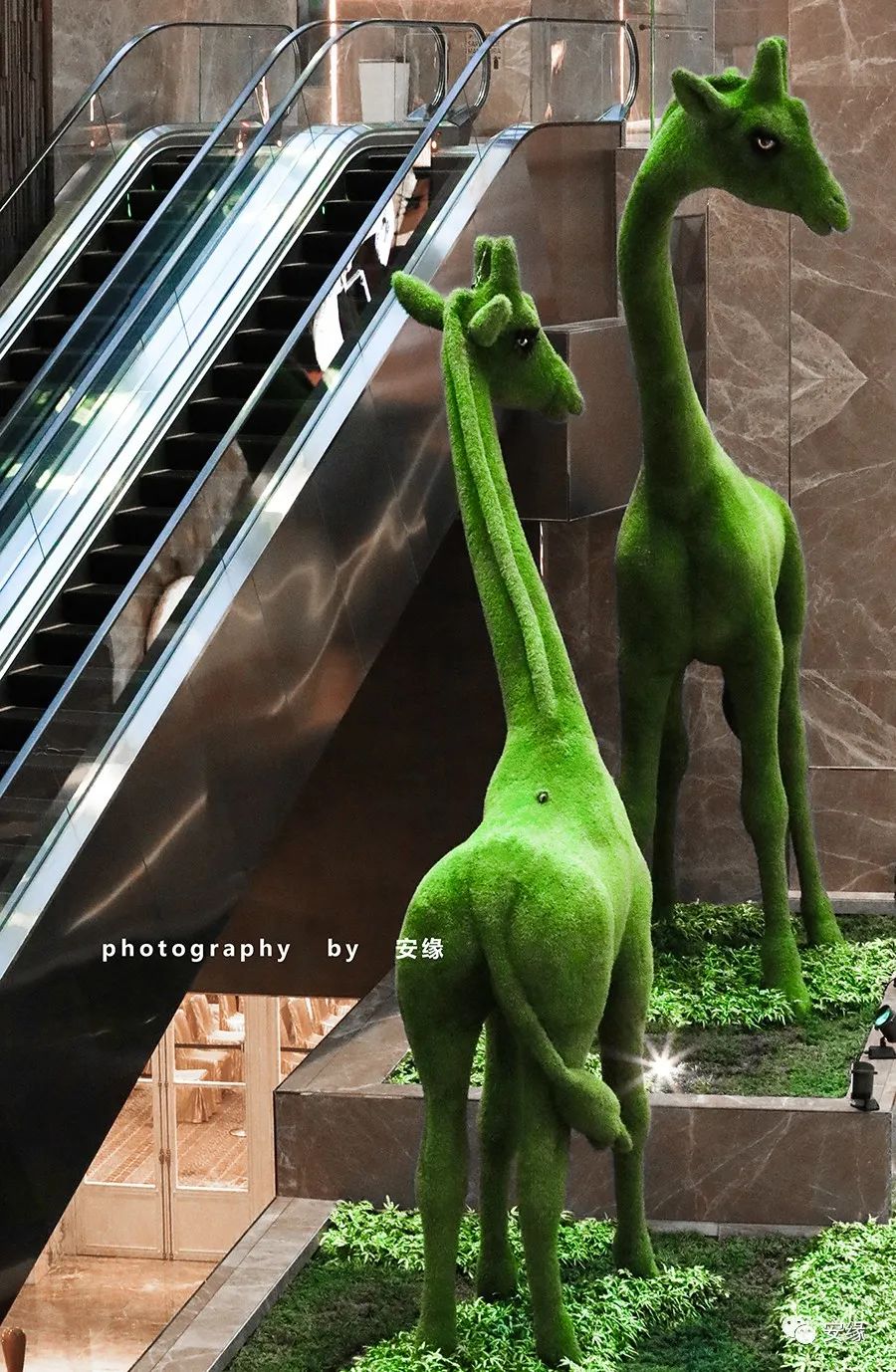 婢抽棬鎷嗚В浜旈噾,婢抽棬棣栭グ鎷嗙