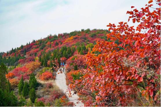 最好的风景是山里走走,最好的旅游风景在路上