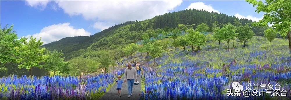 俞孔坚的设计作品,俞孔坚景观设计学