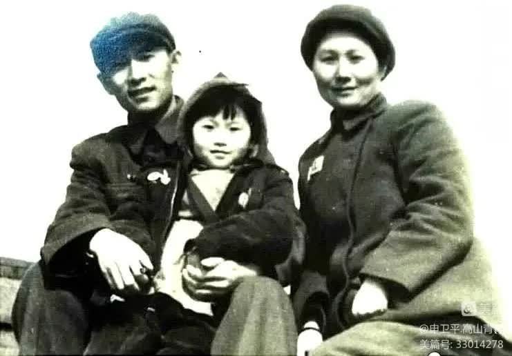 功不可没在线观看完整版,功不可没完整版视频