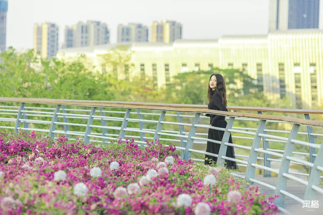 雨林打卡网红地滑梯,深圳哪里有超大型滑梯