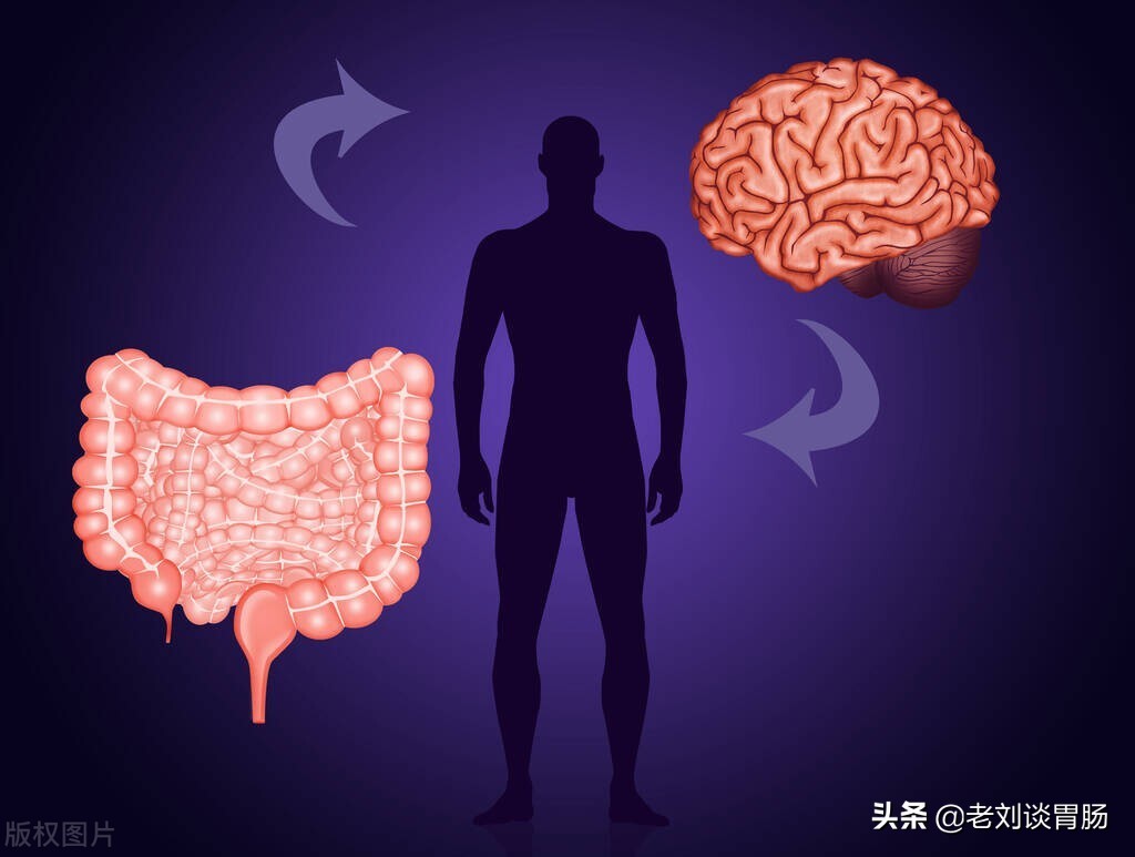 胃肠功能性紊乱怎么治疗,什么是胃肠动力不足
