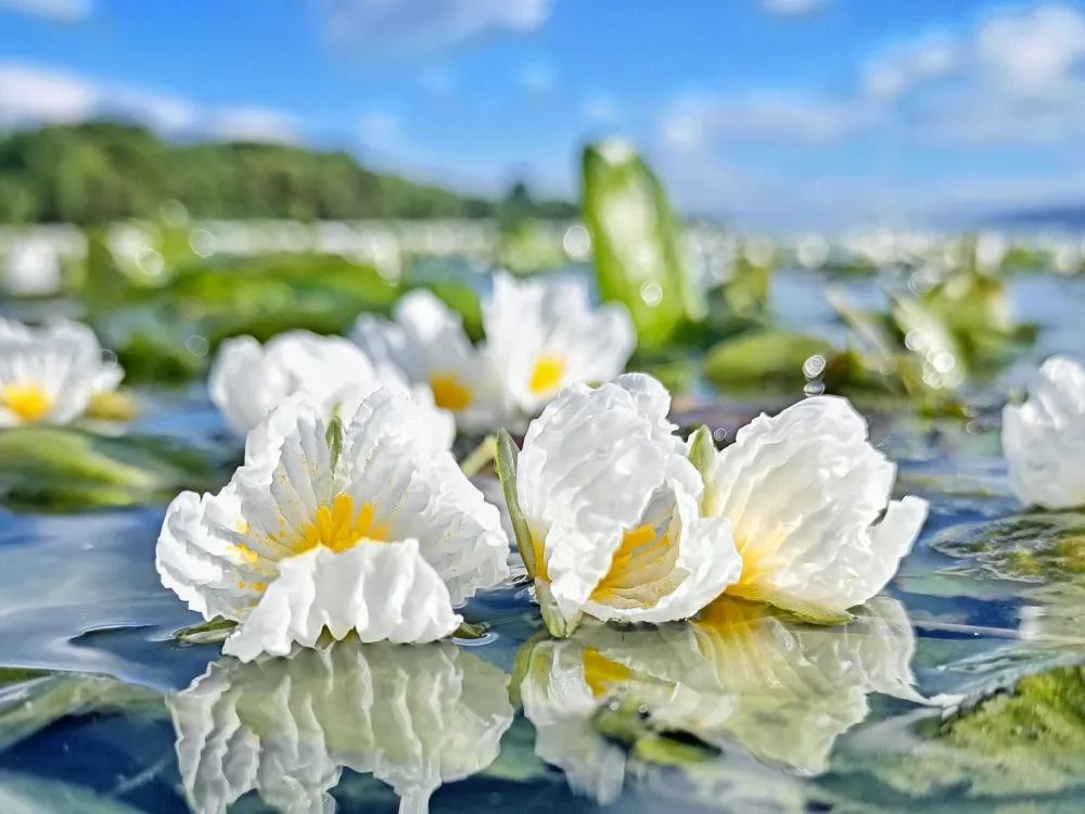 大理打卡的拍照圣地,大理旅游打卡攻略一日游推荐