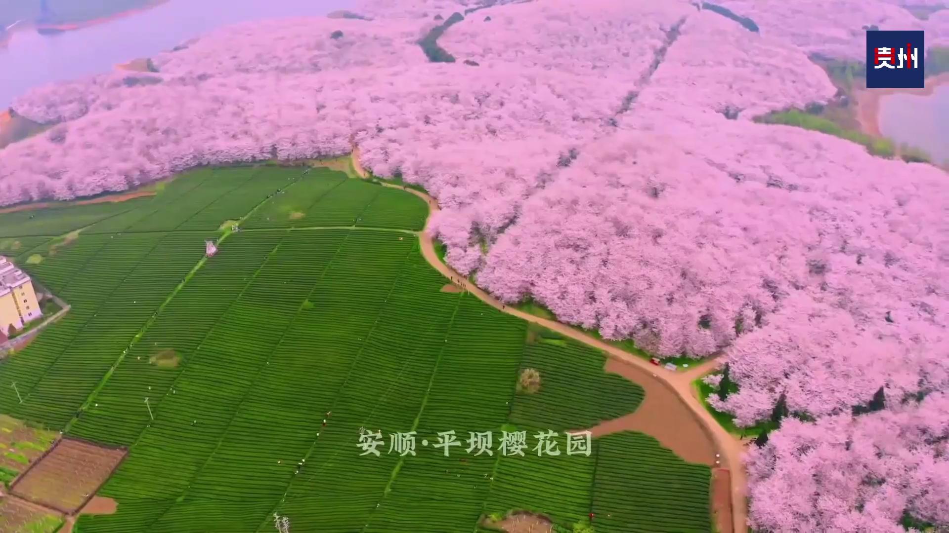 贵州最值得一去的地方,贵州最值得去的10个好地方