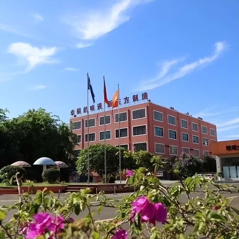 秋季报名火热进行中｜十大理由告诉你，择校为什么选择海南新东方