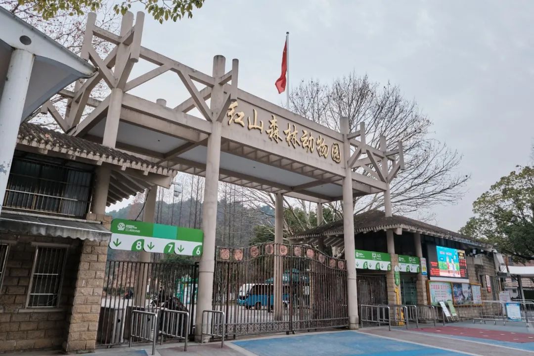 红山动物园亏损3千万网友很着急,近两年疫情原因导致亏损如何翻身