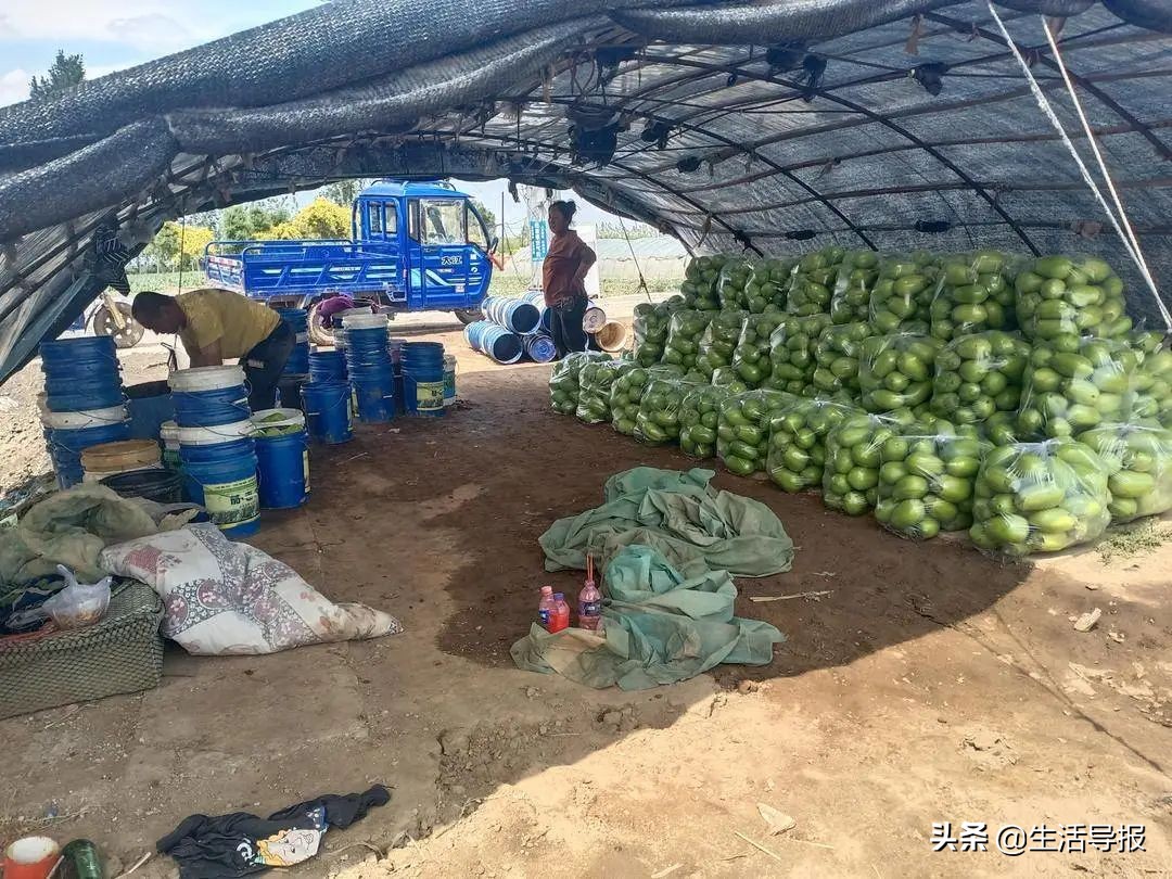 美好生活十年,美好生活最新版