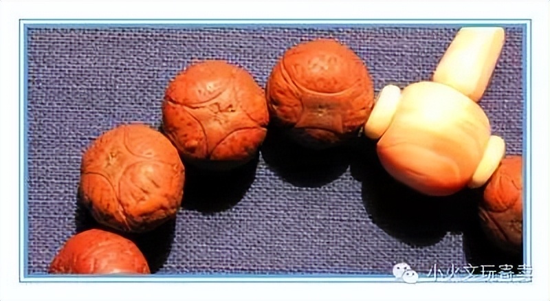 凤眼菩提20天效果,2023年凤眼菩提