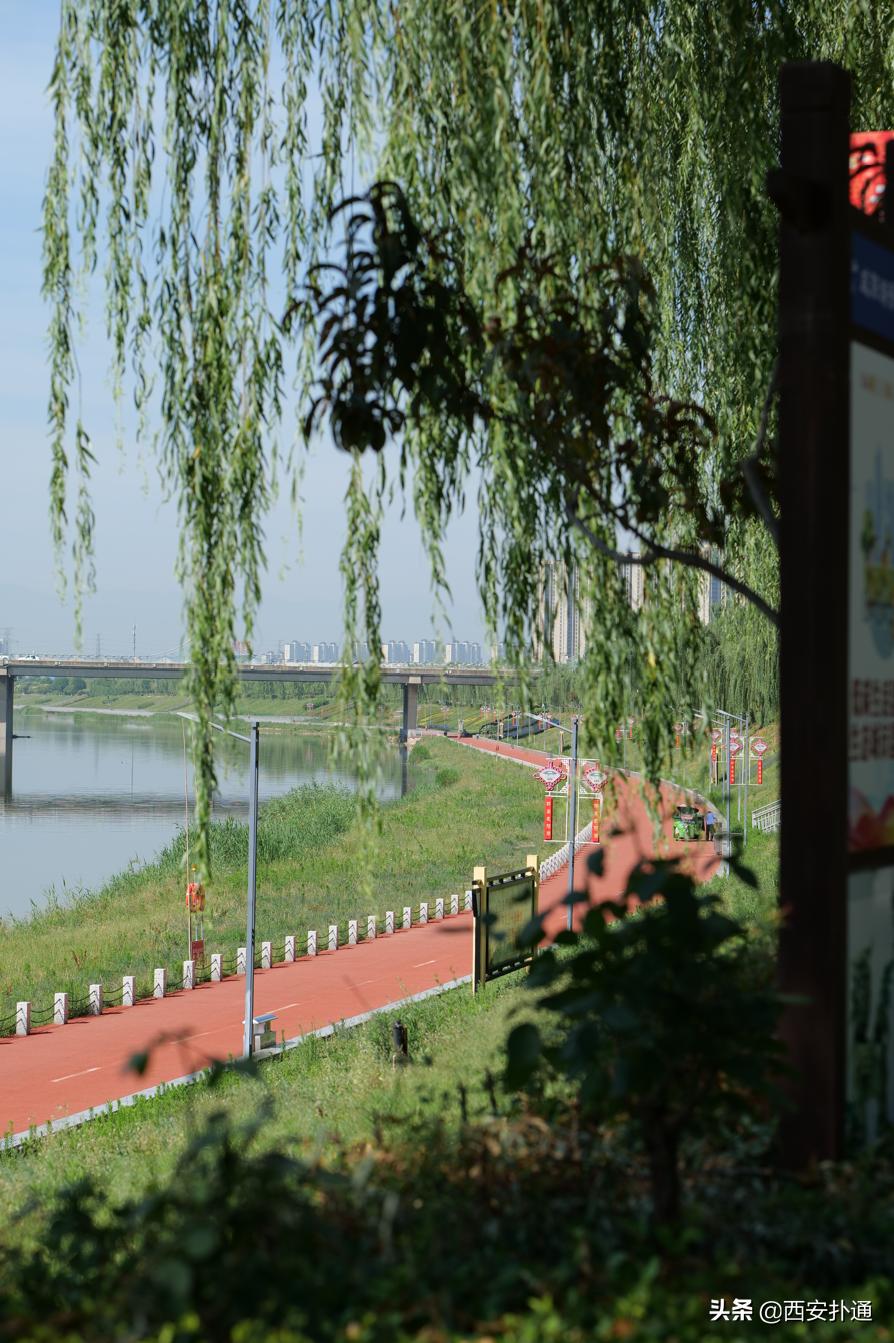 西安最大花海公园,西安周边的自然景观公园