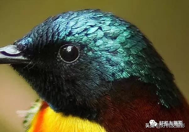 手机拍照片怎么拍出质感风景,拍的照片没有质感