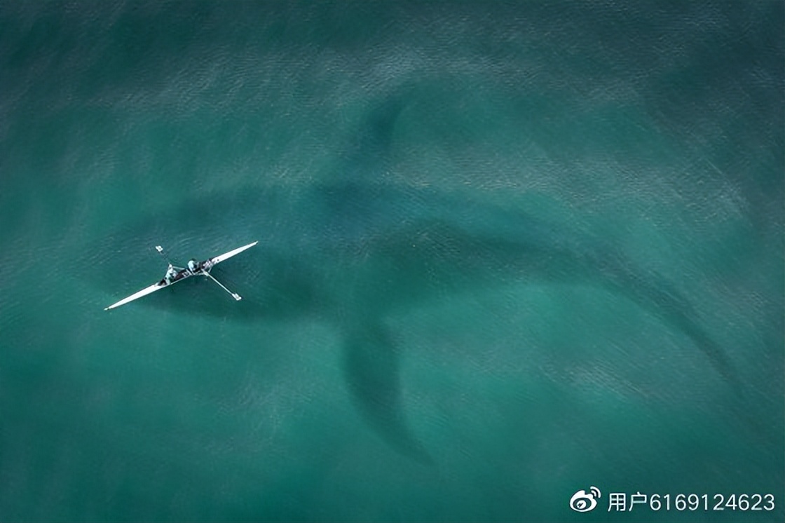 鑱氱劍鍊哄姟鍖栬В,鑱氱劍閲戣瀺鍚堣缁忚惀