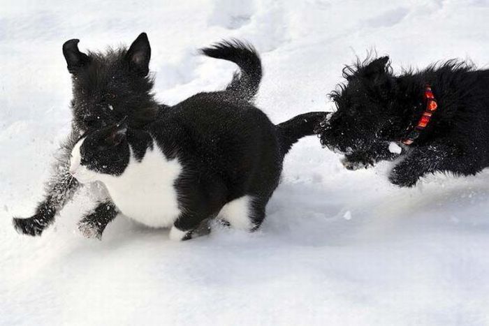 100个难得一见照片,难得一见12张照片