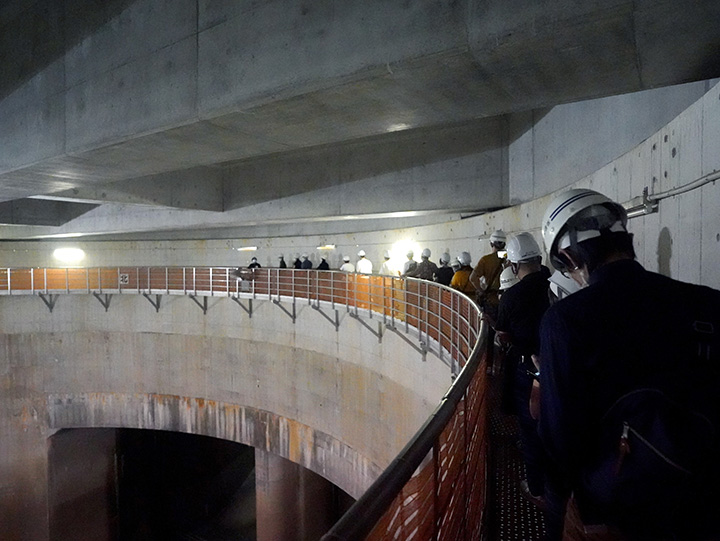 日本埼玉县一周游玩规划,日本埼玉好玩的地方