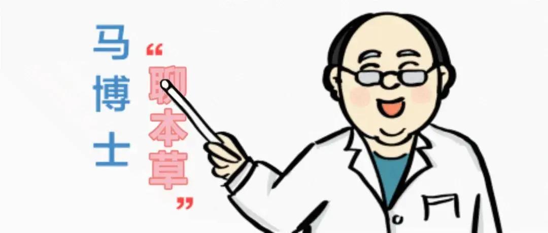 马博士的深度讲解,马博士中药