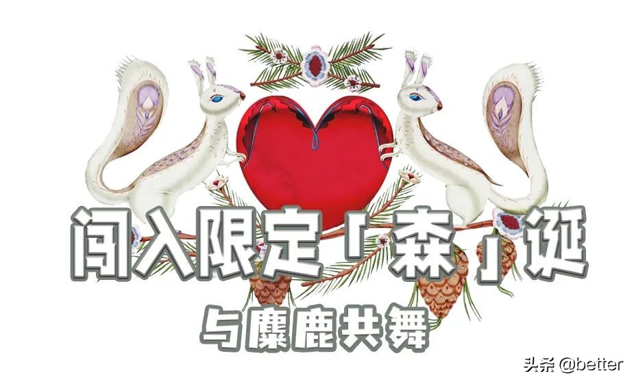 跟随一群奇幻麋鹿，我开启了一场「森」诞之旅