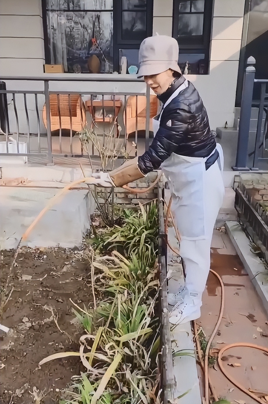 徐俐：变身农村大妈，对小花园进行冬季“修剪施肥保温”养护管理