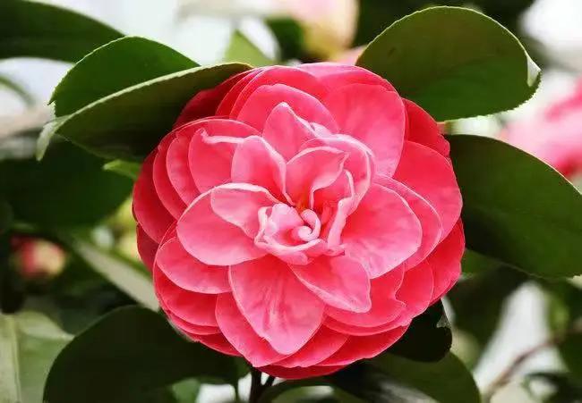 这个季节去哪里玩最合适昆明周边,昆明周边过年旅游推荐