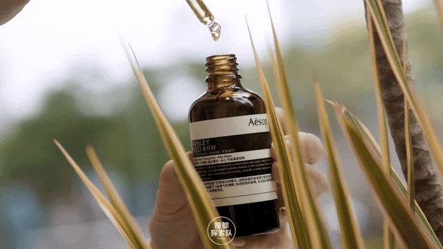 邂逅Aesop伊索全新诗意空间，感知圆融新生的传承与治愈