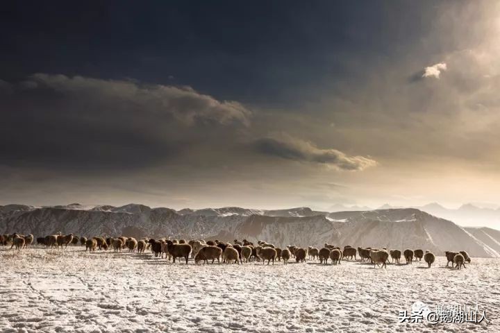 读这首词令人无话可说