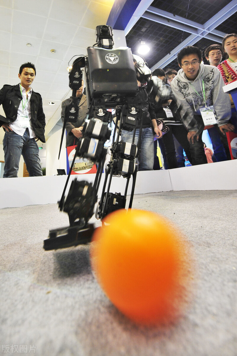 对东方甄选事件看法,东方夜雀被央视点评内容