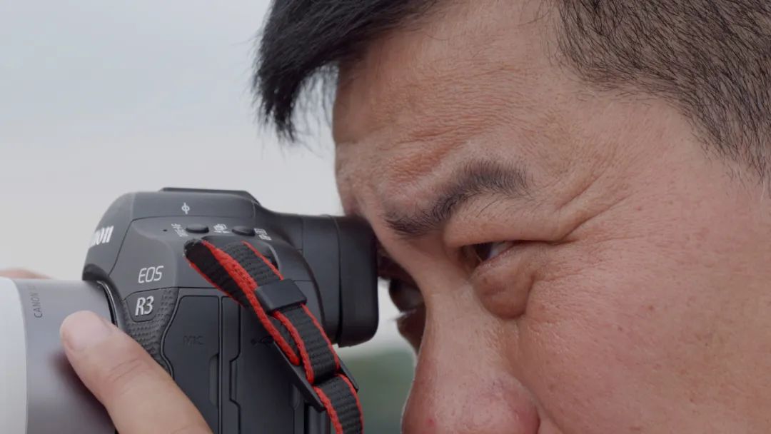 有必要升级佳能R3吗？详细为你分析R3摄影及视频性能